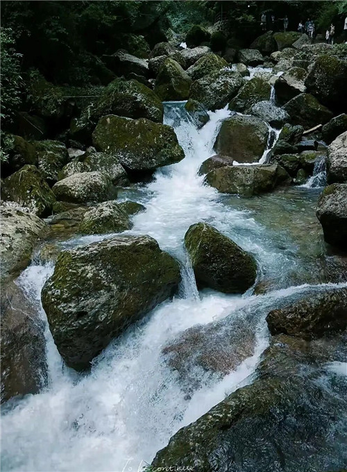 1779938714909907.jpg 0 (4)_副本.jpg