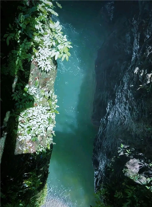 1779939201129000.jpg 0 (5)_副本.jpg