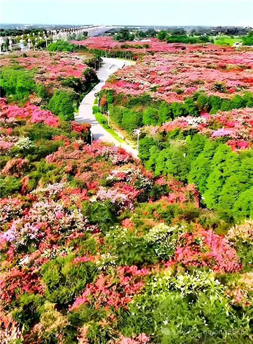 ΢��ͼƬ_20260828095703_1977_16_����.jpg